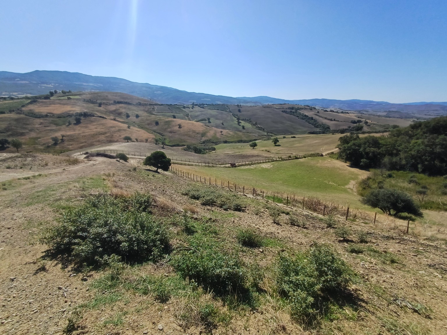 Podere Prataccione - stato attuale colline