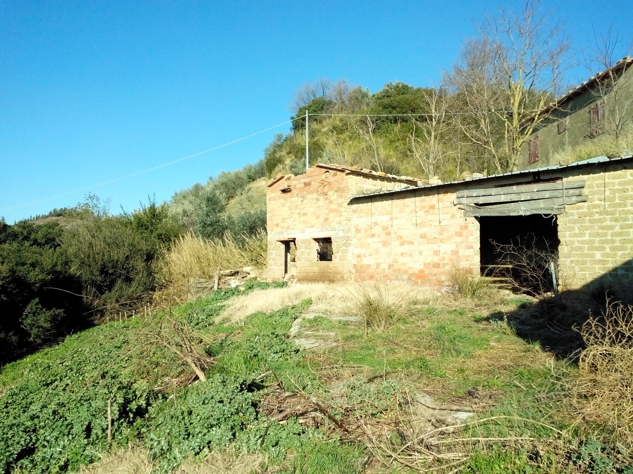 Podere - panorama attuale